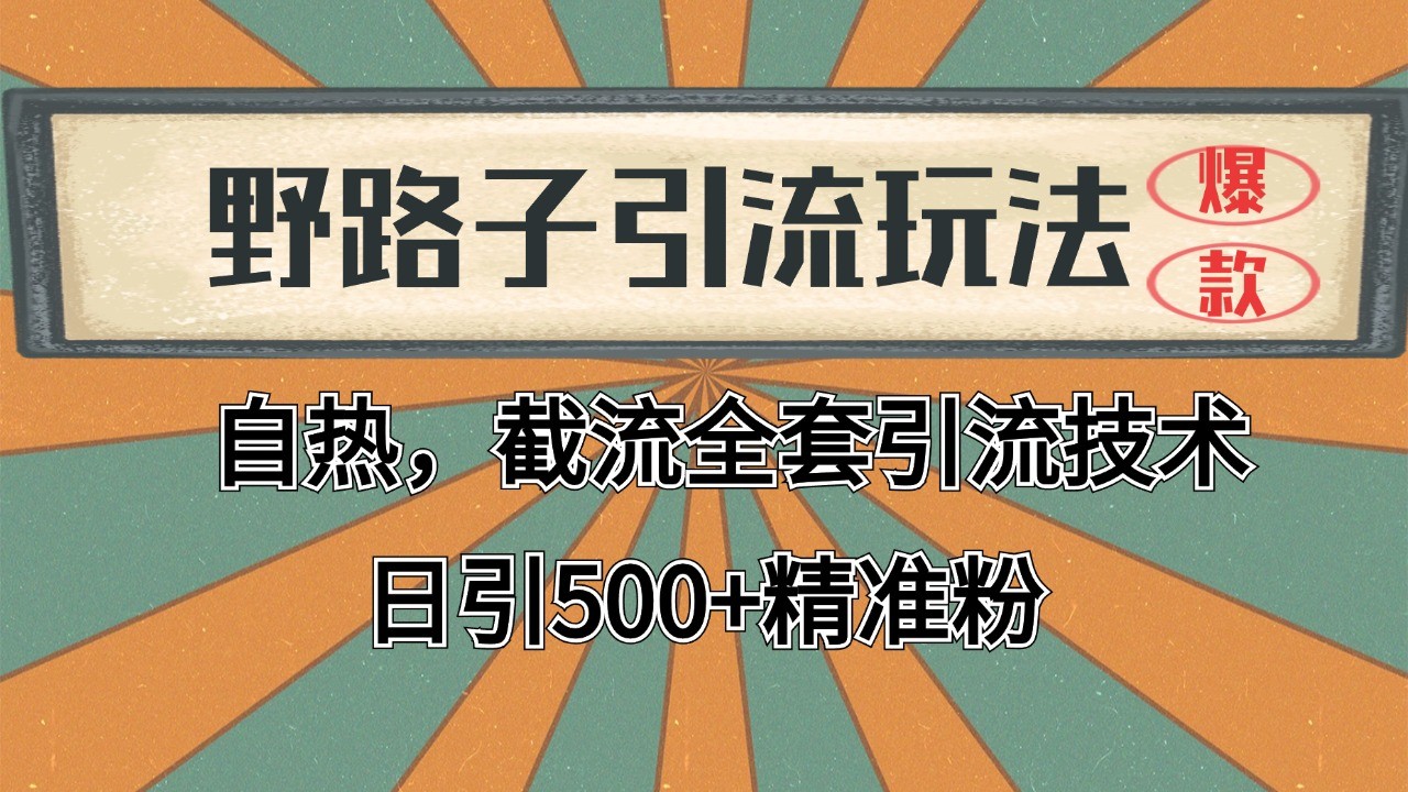 2024首发野路子引流玩法截流自热全平台打法，全自动引流【日引2000+精准客户】-小肥鱼网创-十年互联网创业实战派 | 专注精准流量获取与转化