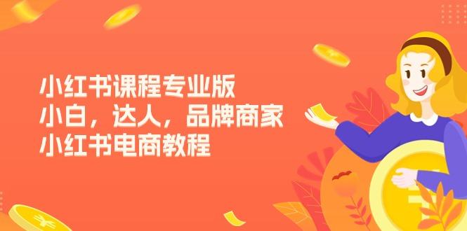小红书课程专业版，小白，达人，品牌商家，小红书电商教程(15节-小肥鱼网创-十年互联网创业实战派 | 专注精准流量获取与转化