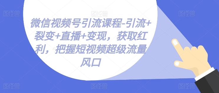 微信视频号引流课程-引流+裂变+直播+变现，获取红利，把握短视频超级流量风口-小肥鱼网创-十年互联网创业实战派 | 专注精准流量获取与转化