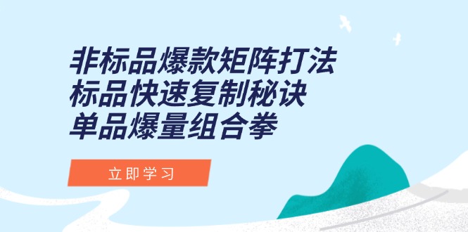 非标品爆款矩阵打法，标品快速复制秘诀，单品爆量组合拳-小肥鱼网创-十年互联网创业实战派 | 专注精准流量获取与转化