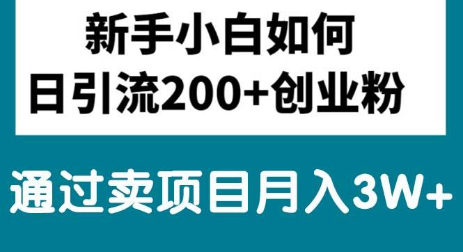 新手小白日引流200+创业粉,通过卖项目月入3W+-小肥鱼网创-十年互联网创业实战派 | 专注精准流量获取与转化