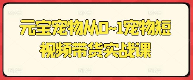 元宝宠物从0~1宠物短视频带货实战课-小肥鱼网创-十年互联网创业实战派 | 专注精准流量获取与转化