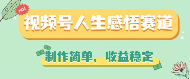 视频号人生感悟赛道，制作简单，收益稳定【揭秘】-小肥鱼网创-十年互联网创业实战派 | 专注精准流量获取与转化