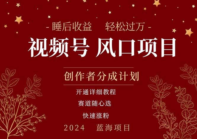 拥有睡眠收益的微信视频号大风口项目，轻松月入过万+，多赛道选择，可…-小肥鱼网创-十年互联网创业实战派 | 专注精准流量获取与转化