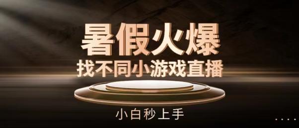 暑假火爆找不同小游戏直播间，小白秒上手【揭秘】-小肥鱼网创-十年互联网创业实战派 | 专注精准流量获取与转化