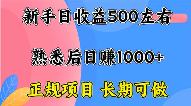 揭秘日赚500+的正规网赚项目：长期稳定操作，新手也能快速上手！