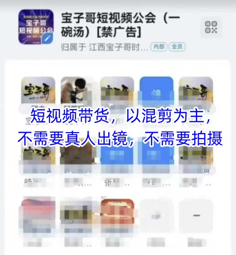 宝子哥头部团队短视频带货，以混剪为主，不需要真人出镜，不需要拍摄【更新】-小肥鱼网创-十年互联网创业实战派 | 专注精准流量获取与转化