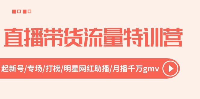 直播带货流量特训营，起新号-专场-打榜-明星网红助播 月播千万gmv(52节-小肥鱼网创-十年互联网创业实战派 | 专注精准流量获取与转化