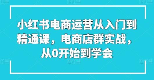 小红书电商运营从入门到精通课，电商店群实战，从0开始到学会-小肥鱼网创-十年互联网创业实战派 | 专注精准流量获取与转化