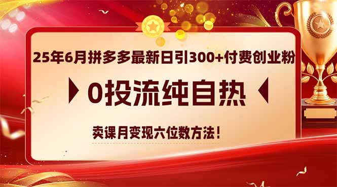25年6月拼多多最新日引300+付费创业粉，0投流纯自热 卖课月变现六位数方法-小肥鱼网创-十年互联网创业实战派 | 专注精准流量获取与转化