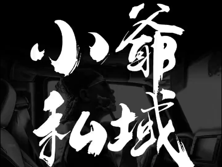 小爷·私域项目操盘手-小肥鱼网创-十年互联网创业实战派 | 专注精准流量获取与转化