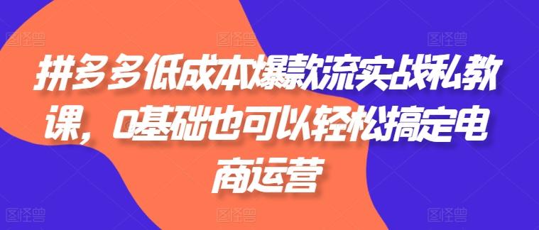 拼多多低成本爆款流实战私教课，0基础也可以轻松搞定电商运营-小肥鱼网创-十年互联网创业实战派 | 专注精准流量获取与转化