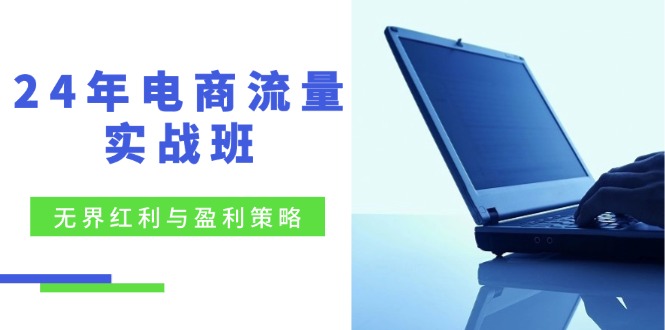 24年电商流量实战班：无界 红利与盈利策略，终极提升/关键词优化/精准…-小肥鱼网创-十年互联网创业实战派 | 专注精准流量获取与转化