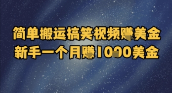 简单搬运搞笑视频挣美金，新手一个月入1k美金-小肥鱼网创-十年互联网创业实战派 | 专注精准流量获取与转化